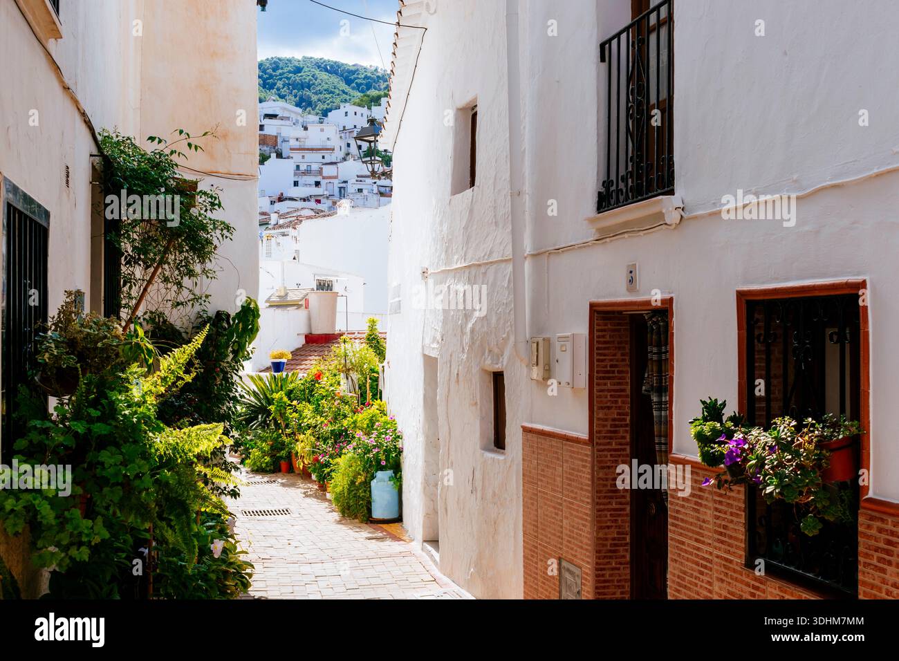 I vasi di fiori adornano le strade del villaggio. Tolox, Parco naturale della Sierra de las Nieves, Málaga, Andalucía, Spagna, Europa Foto Stock
