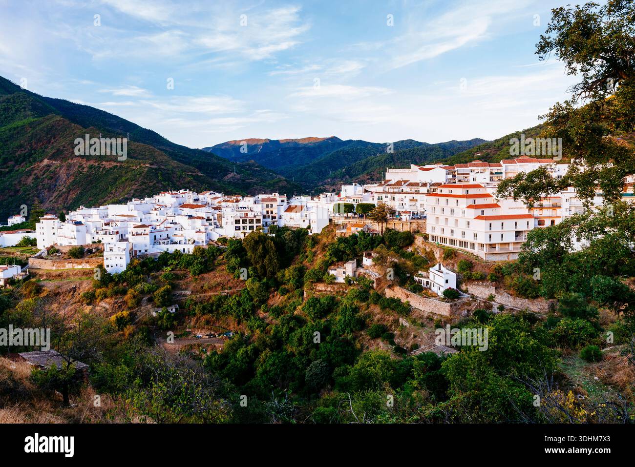 Villaggio bianco di Istán, situato sul versante meridionale della Sierra de las Nieves. Istán, Málaga, Andalucía, Spagna, Europa Foto Stock