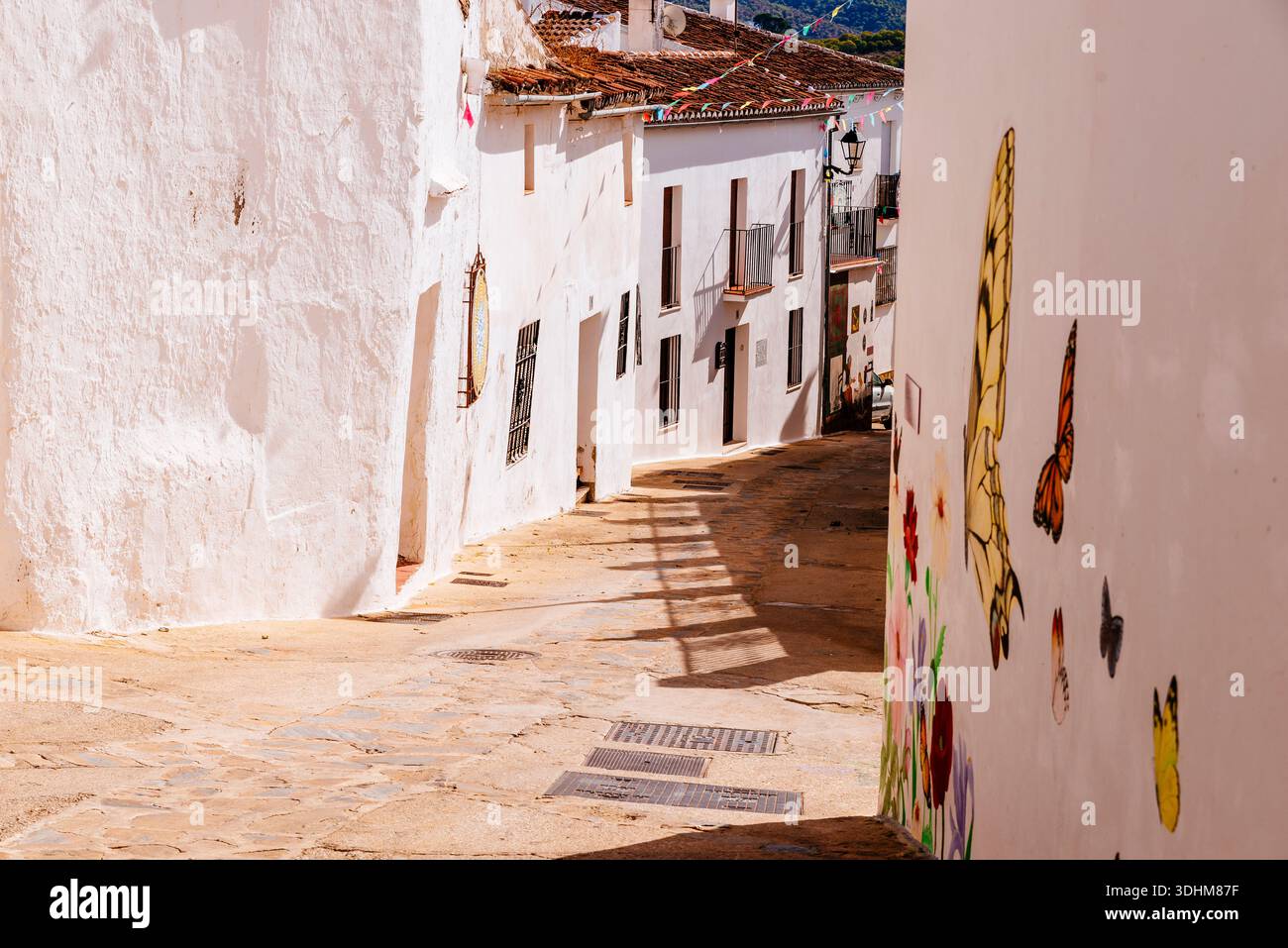 Tipica strada. Cartajima, Málaga, Andalucía, Spagna, Europa Foto Stock
