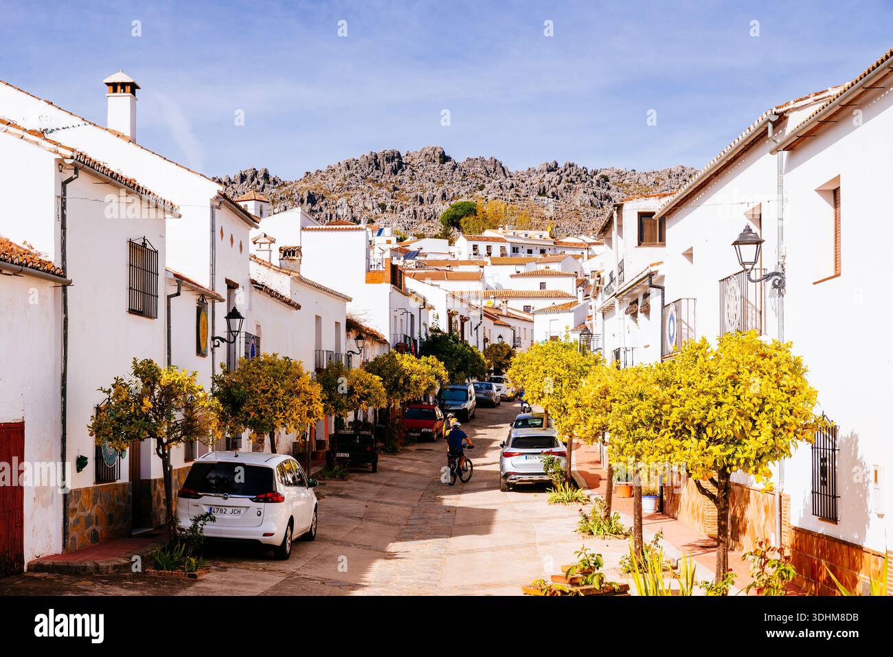 Strada di case dipinte di bianco. Cartajima, Málaga, Andalucía, Spagna, Europa Foto Stock