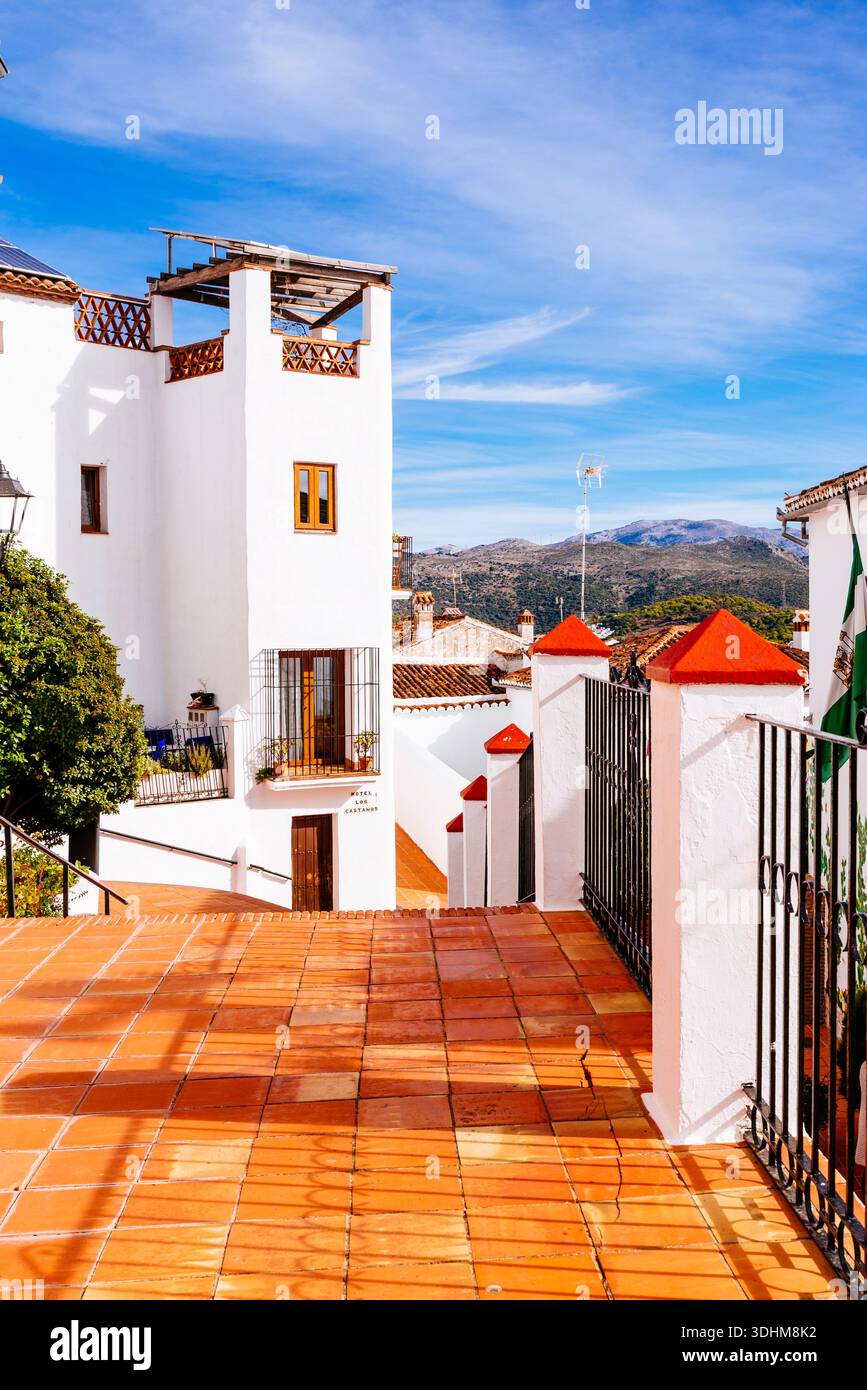 Architettura vernacolare. Cartajima, Málaga, Andalucía, Spagna, Europa Foto Stock