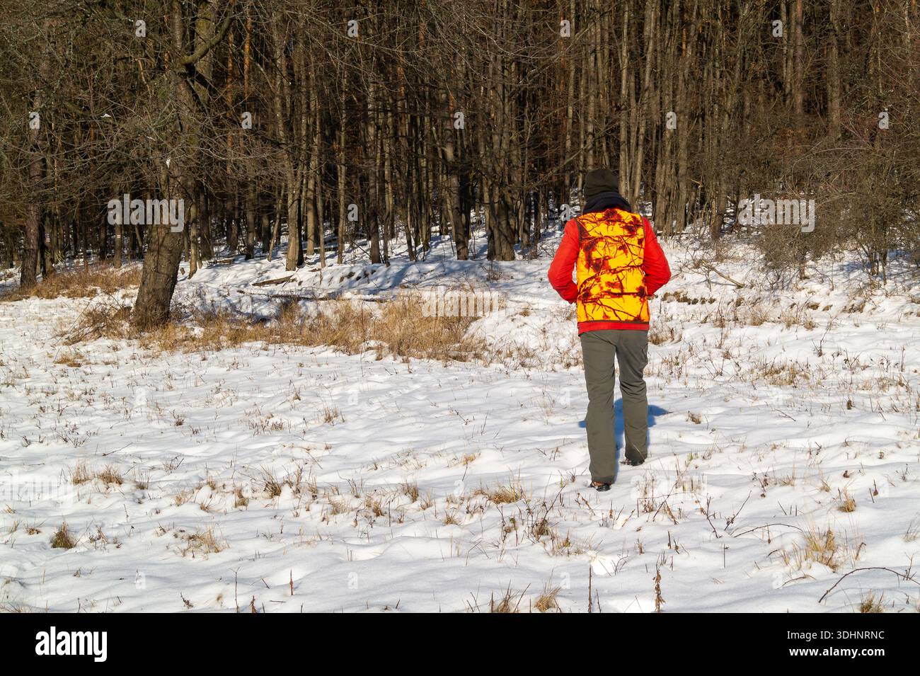 Fai un'escursione nella giacca invernale Bright Blaze Orange camminando attraverso il sentiero della foresta innevata durante la soleggiata Winter Trail Adventure Foto Stock
