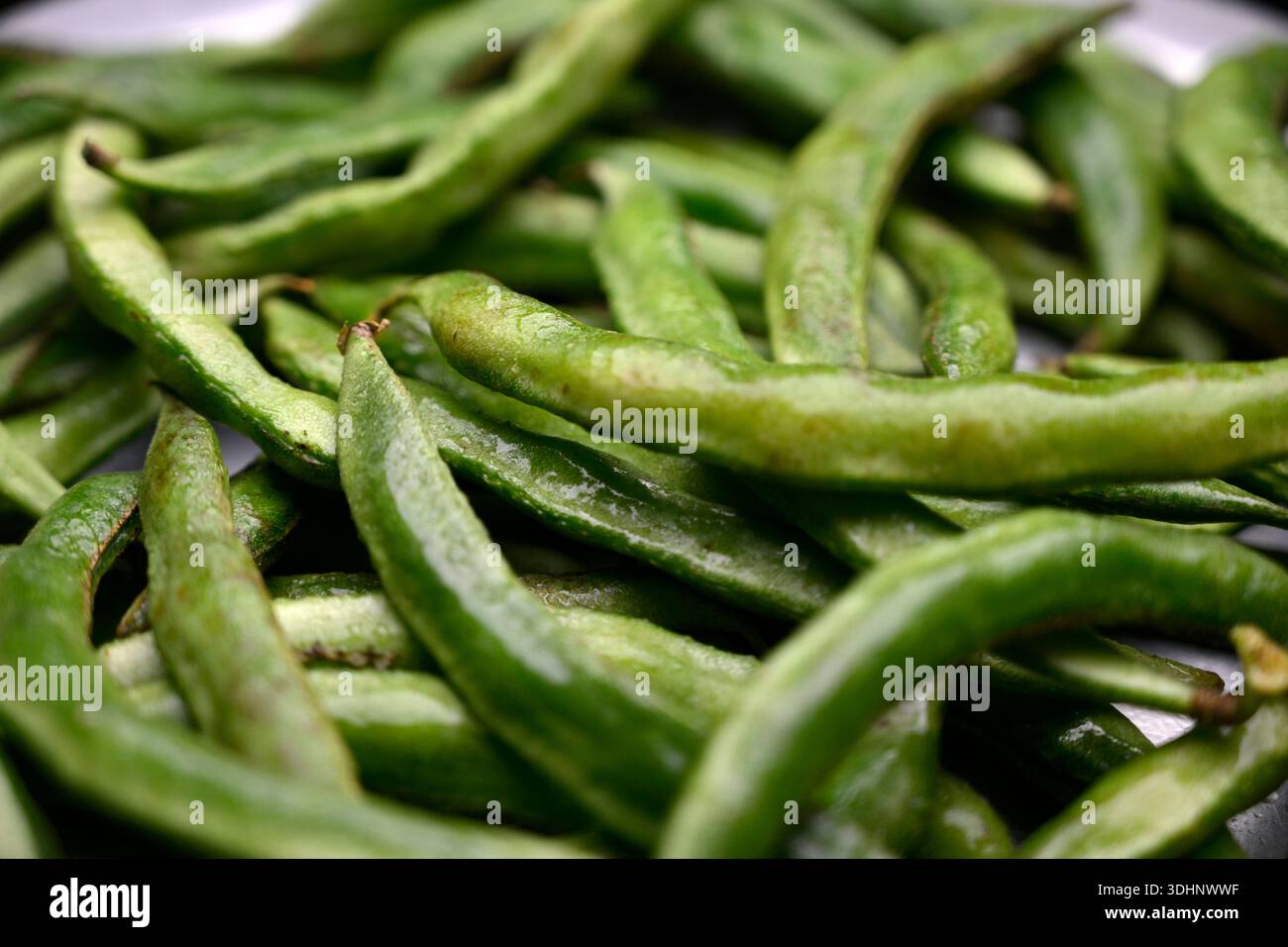 Group of Hyacinth Bean or Same Ki Phalli Lablab Purpures, noto anche come Valor Papdi Beans, background texture Image Foto Stock
