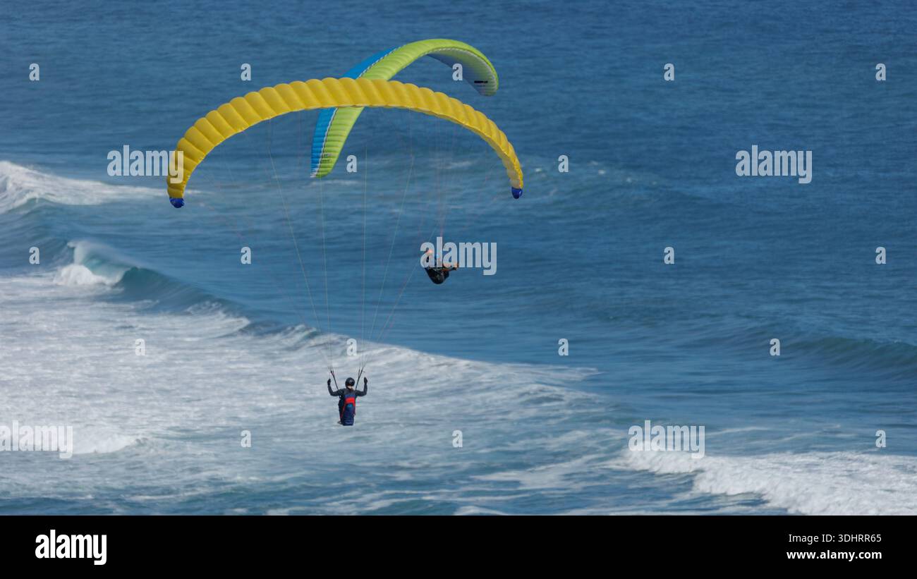 Vista dei parapendio che si innalzano sopra l'oceano, le loro ali gialle e blu vibranti contrastano con il mare blu profondo, Wilderness, Western Cape, South A. Foto Stock