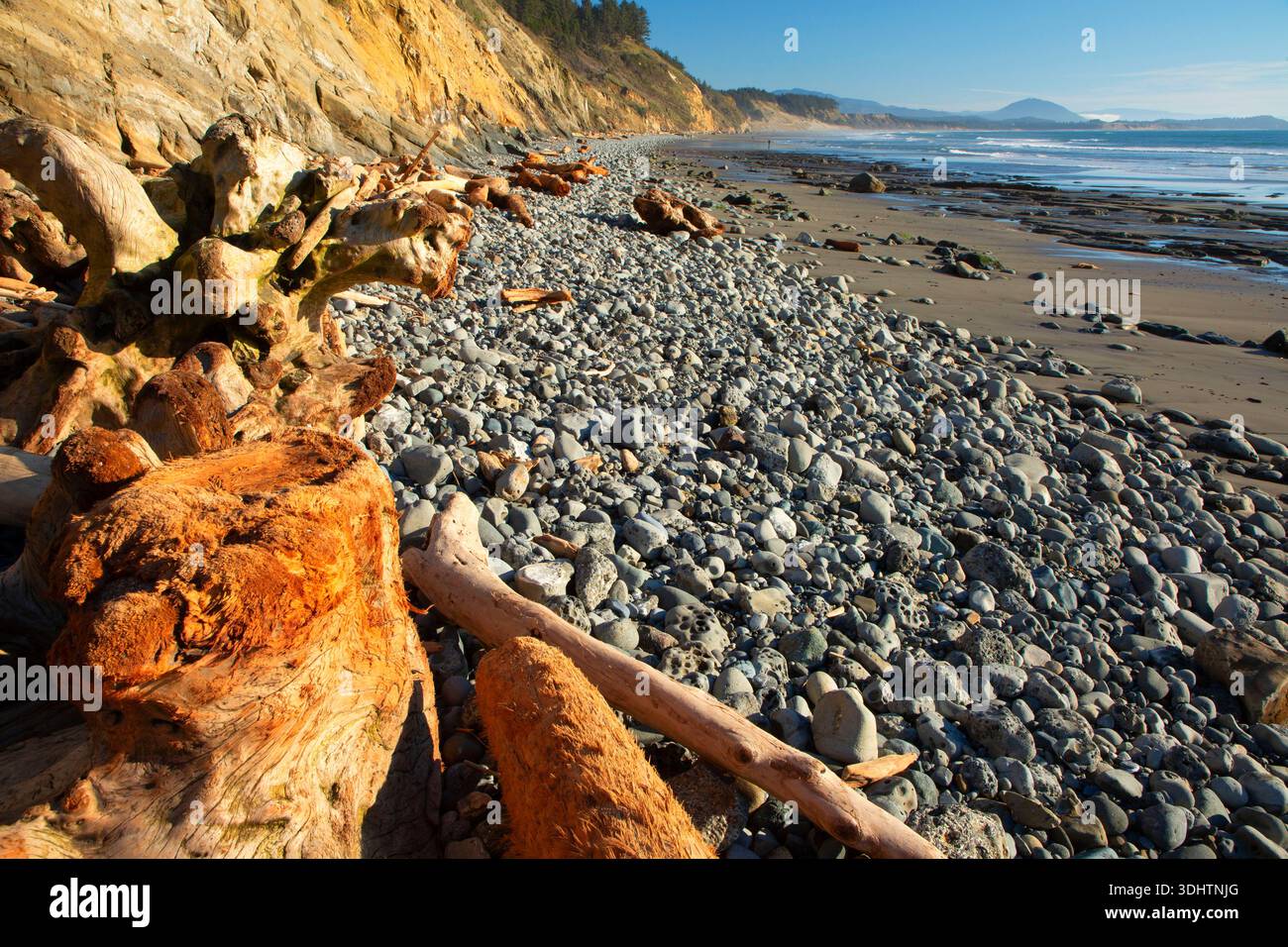 Cape Blanco Beach, Cape Blanco State Park, Oregon Foto Stock