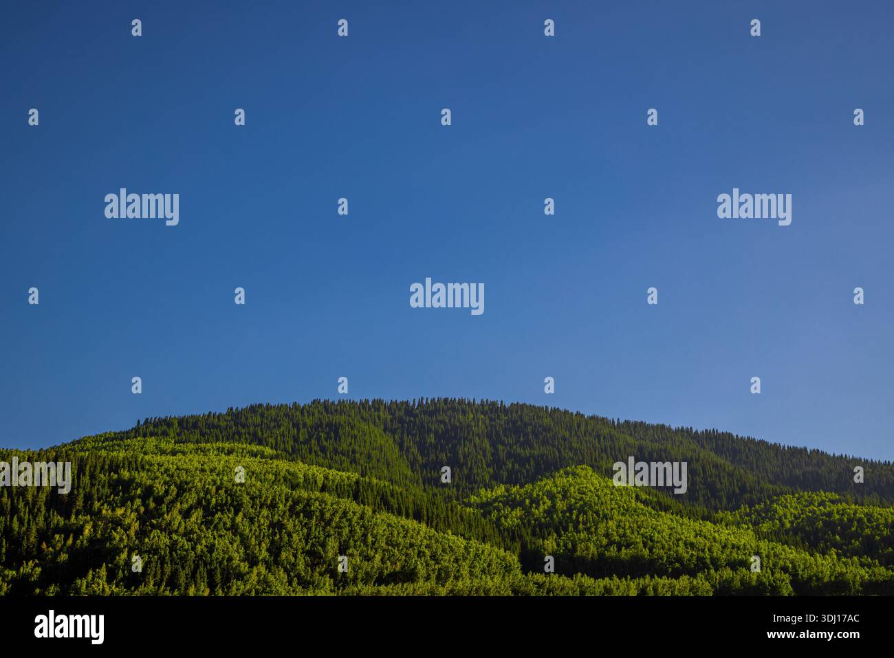 La catena montuosa si erge maestosamente su una lussureggiante foresta. La tranquilla scena all'aperto cattura la bellezza naturale e la tranquillità della natura selvaggia diurna. Foto Stock