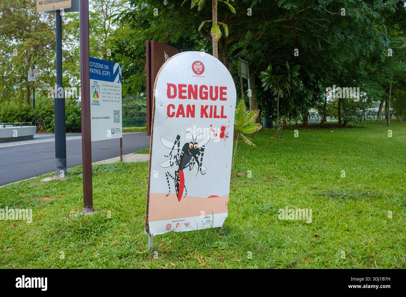 Un grande segnale di avvertimento di informazione pubblica Dengue può uccidere, avvertendo dei pericoli della febbre di Dengue e della sua trasmissione a Singapore. Foto Stock