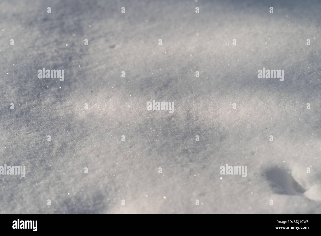 Superficie ghiacciata scintillante sotto i raggi del sole, paesaggio ghiacciato scintillante con luce solare delicata che illumina i dettagli di cristallo e le ombre più delicate Foto Stock