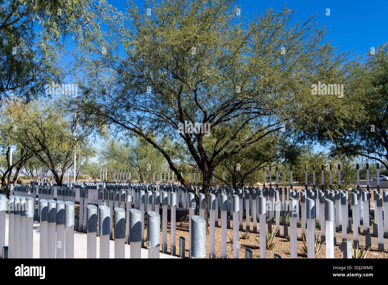 Scottsdale, Arizona - 1 dicembre 2025: File di colonne che rappresentano ciascuna vita a bordo della USS Arizona il 7 dicembre 1941, presso gli USS Arizona Memorial Gardens a S. Foto Stock
