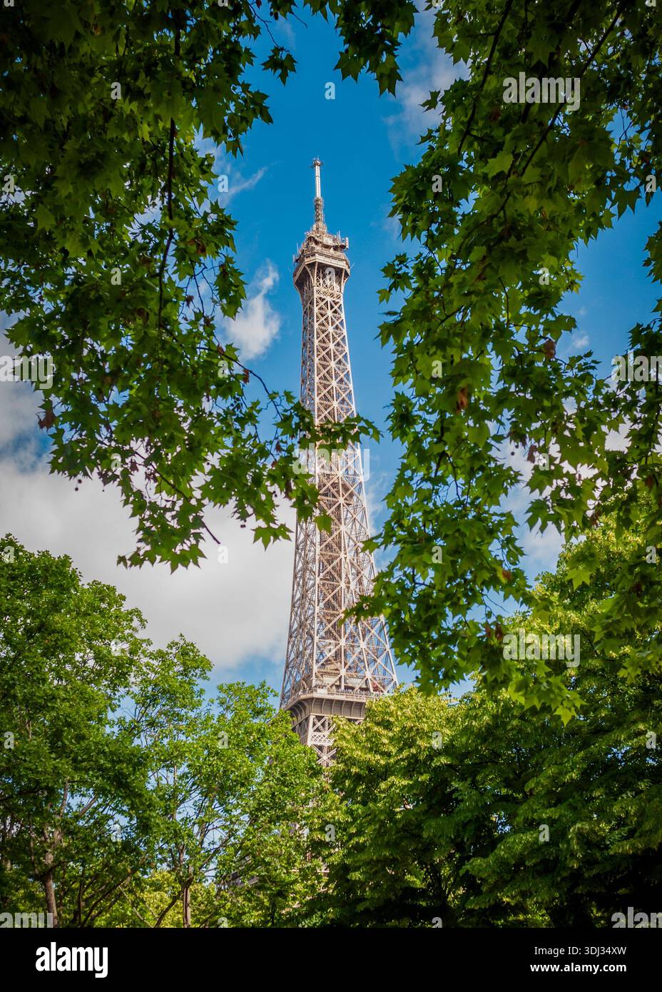 Torre Eiffel incorniciata da alberi frondosi in un parco di Parigi, che si innalza contro un cielo azzurro luminoso in un tranquillo paesaggio urbano estivo. Foto Stock