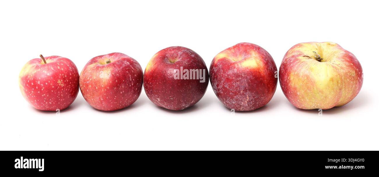Fila di mele rosse isolate su sfondo bianco. Frutta fresca matura allineata in linea retta. Concetto di nutrizione alimentare sana. Prodotto biologico naturale. Foto Stock