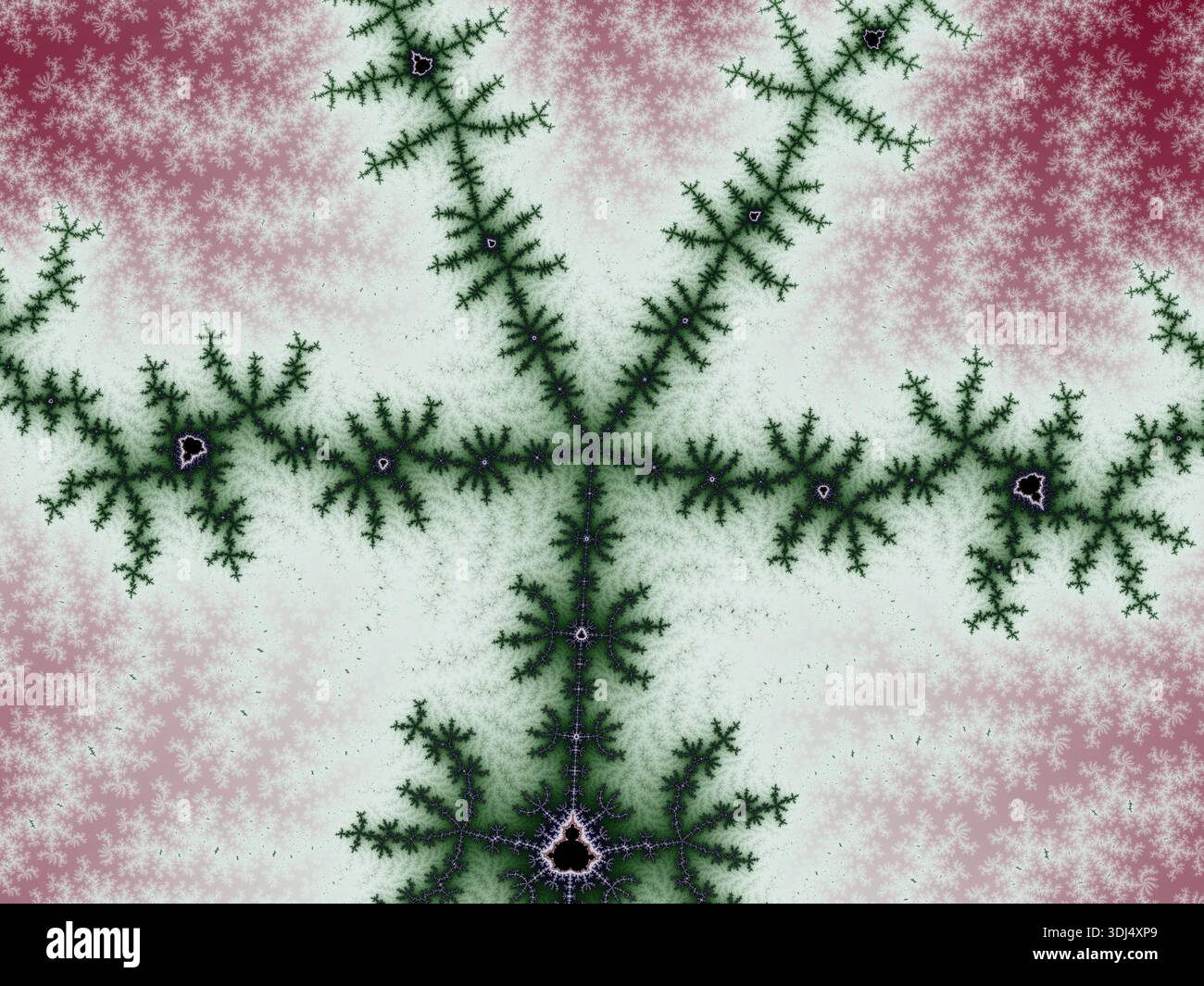 Visualizzazione della natura intricata e simile a se stessa dei frattali matematici Foto Stock