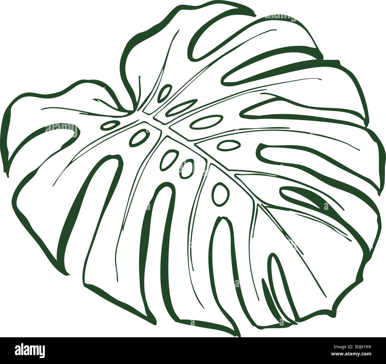 Disegno in linea di una foglia di monstera con lobi divisi e fori naturali al centro Illustrazione Vettoriale