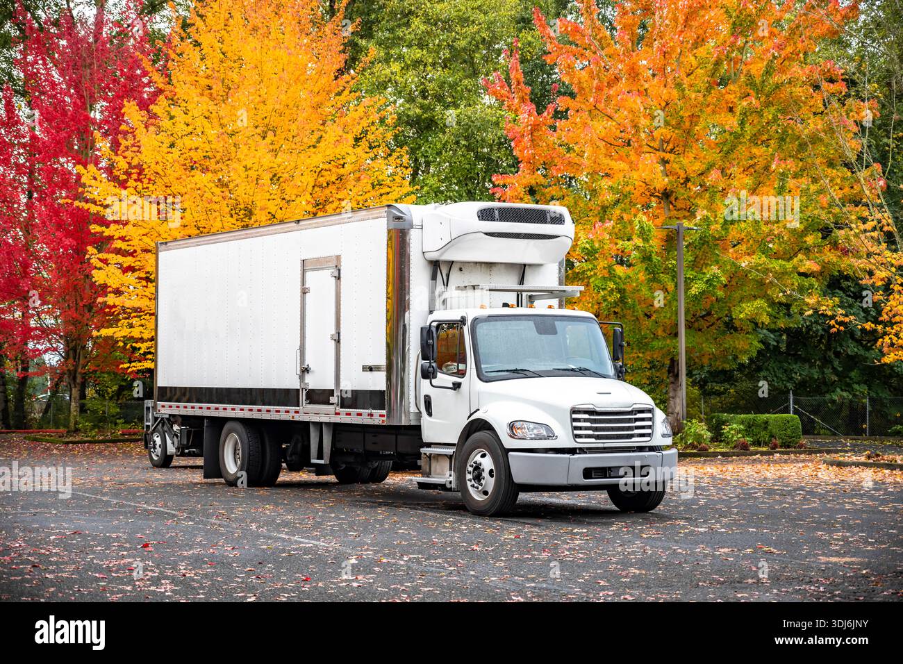 Trattore semi-motrice bianco per impieghi medi per impieghi industriali con rimorchio refrigerato per consegne commerciali locali in piedi nel parcheggio autunnale l Foto Stock