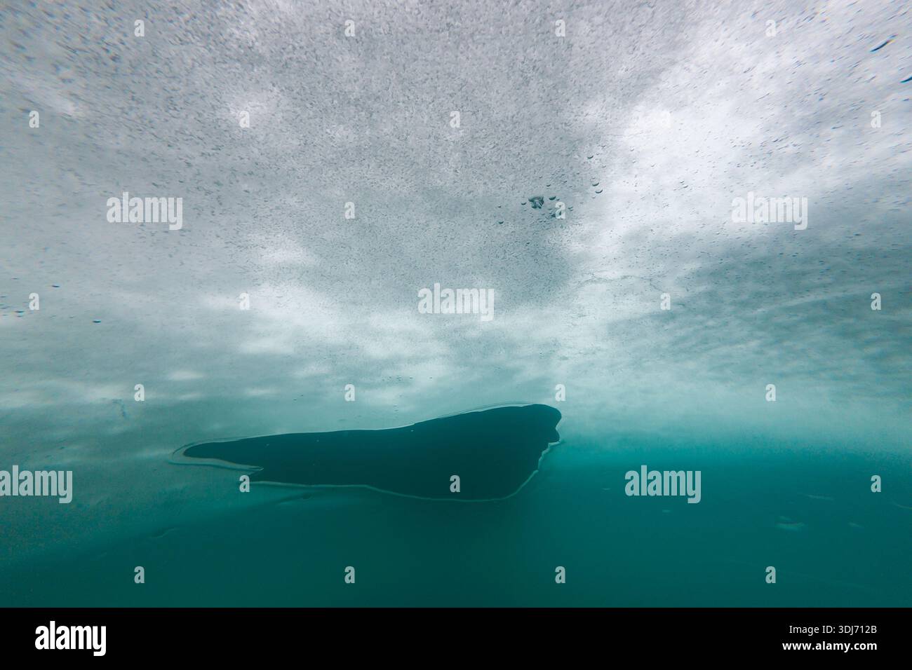 Strato di ghiaccio sul lago Weissensee in Carinzia dal sottosuolo con un foro di uscita per le immersioni sul ghiaccio Foto Stock