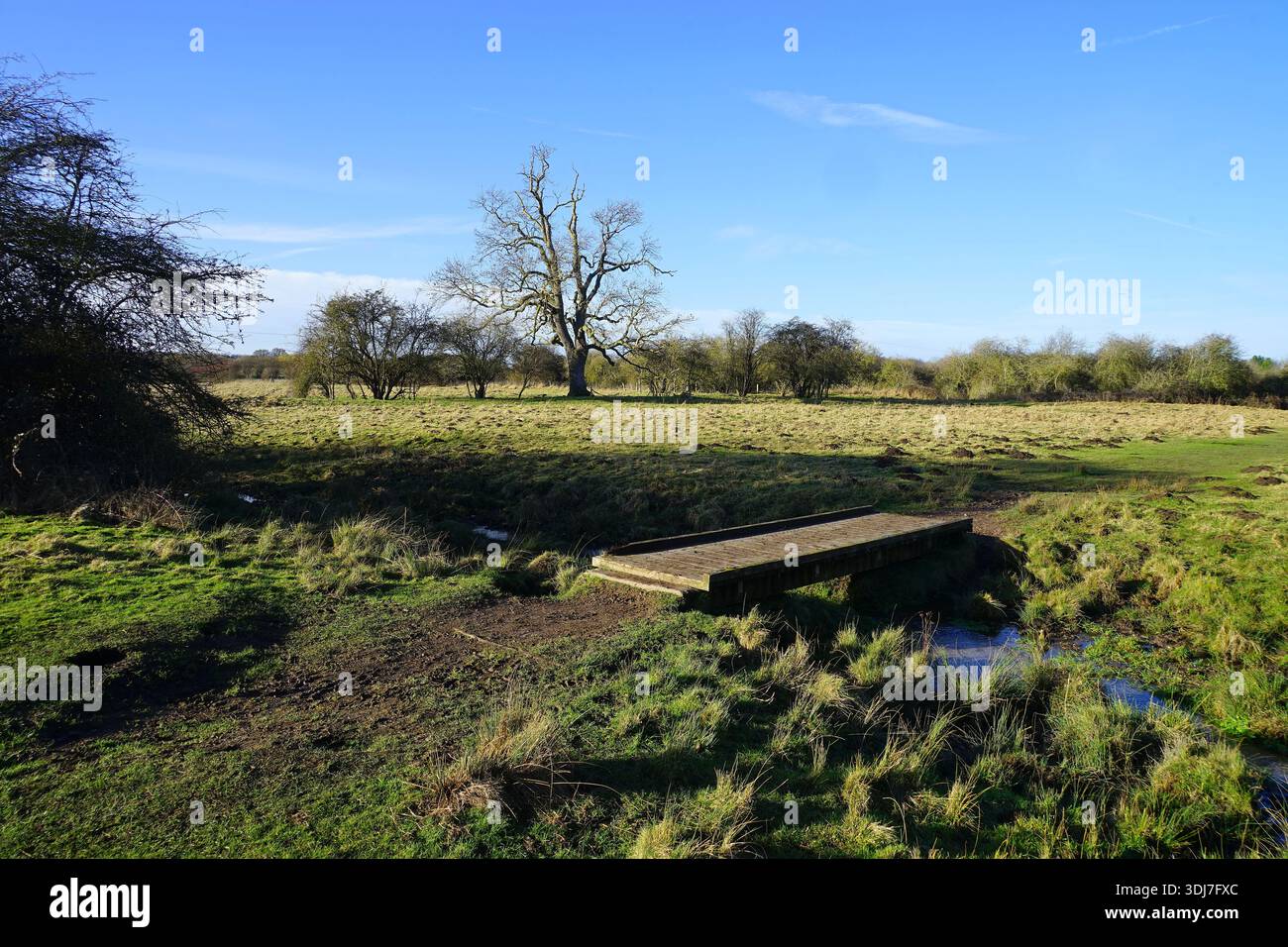 Passerella sul ruscello del Radwell Meadows Country Park Foto Stock