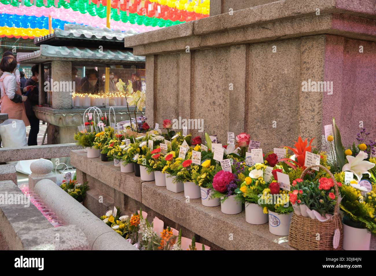 Seoul, Corea del Sud: Offerte di fiori collocate vicino al santuario del tempio di Bongeunsa durante le celebrazioni del compleanno del Buddha Foto Stock