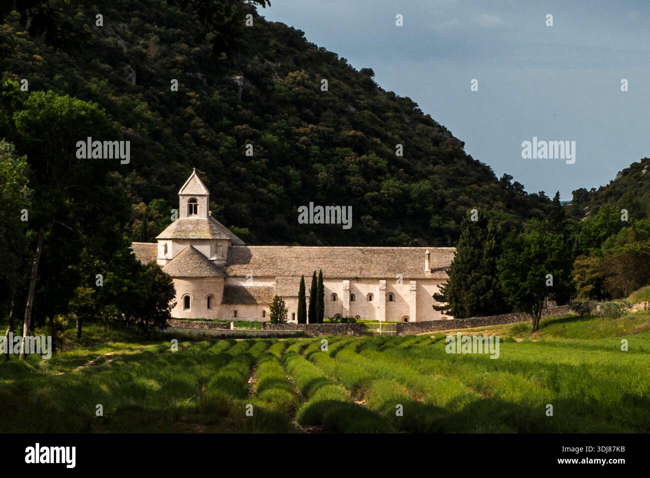 SENANQUE ABBEY FRANCIA Foto Stock