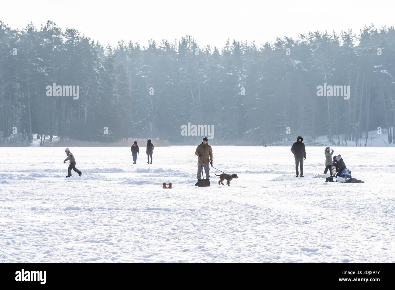 Persone che amano praticare attività ricreative invernali, pattinare e camminare su un lago ghiacciato circondato da alberi innevati in una giornata luminosa Foto Stock