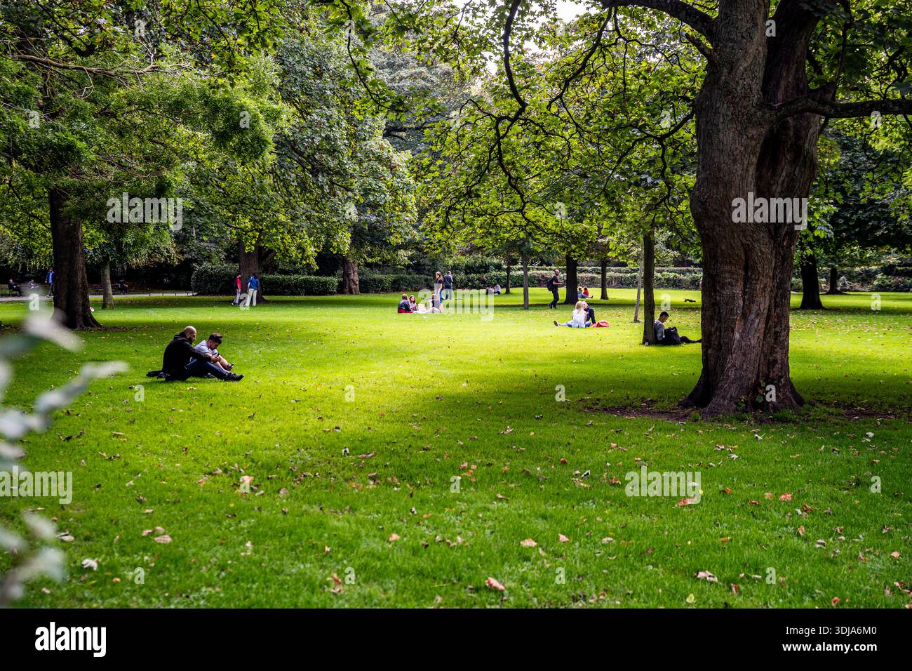 St Stephen's Green con persone che si rilassano sull'erba, atmosfera tranquilla di uno dei parchi storici più amati della città, Dublino, Irlanda. Foto Stock