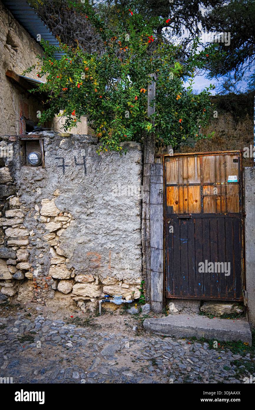Una vecchia porta rustica in legno circondata da pareti in pietra e da una vibrante vegetazione crea un affascinante scenario storico Foto Stock