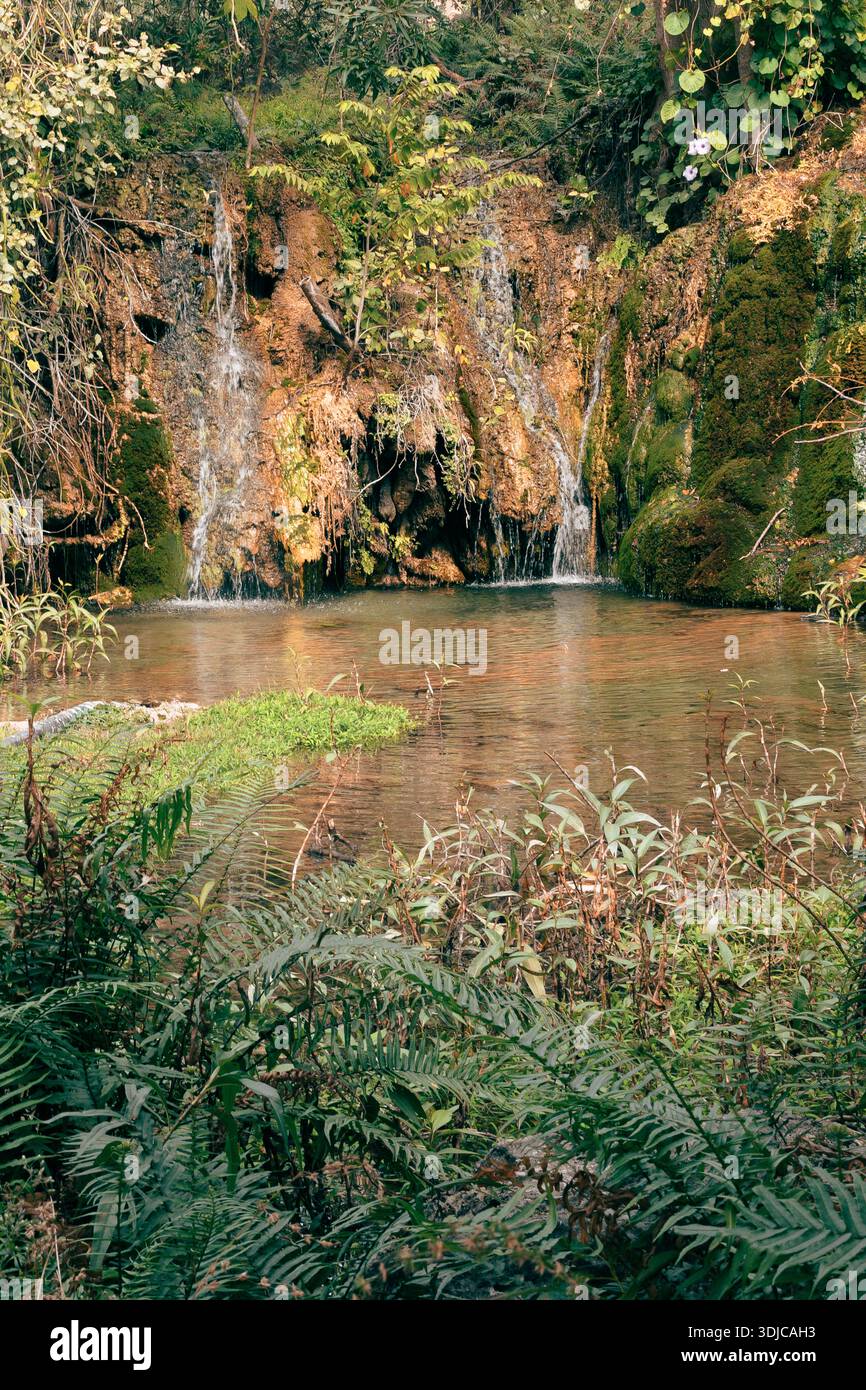Una tranquilla scena di Wadi Darbat, Oman, con una piccola cascata che si getta in un laghetto naturale trasparente e riflettente. Vegetazione verde lussureggiante, felci e m Foto Stock