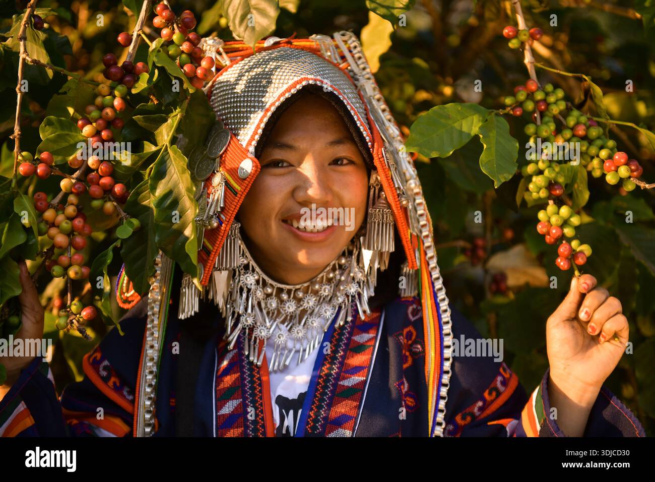 Ritratto di una donna Akha sorridente in piedi in un campo accanto a un cespuglio di caffè ciliegia tra le montagne Foto Stock