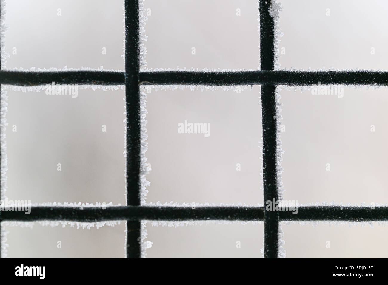 Viene visualizzata una finestra smerigliata con linee nere. Concetto di mistero e intrigo, mentre le linee smerigliate oscurano la vista oltre la finestra Foto Stock