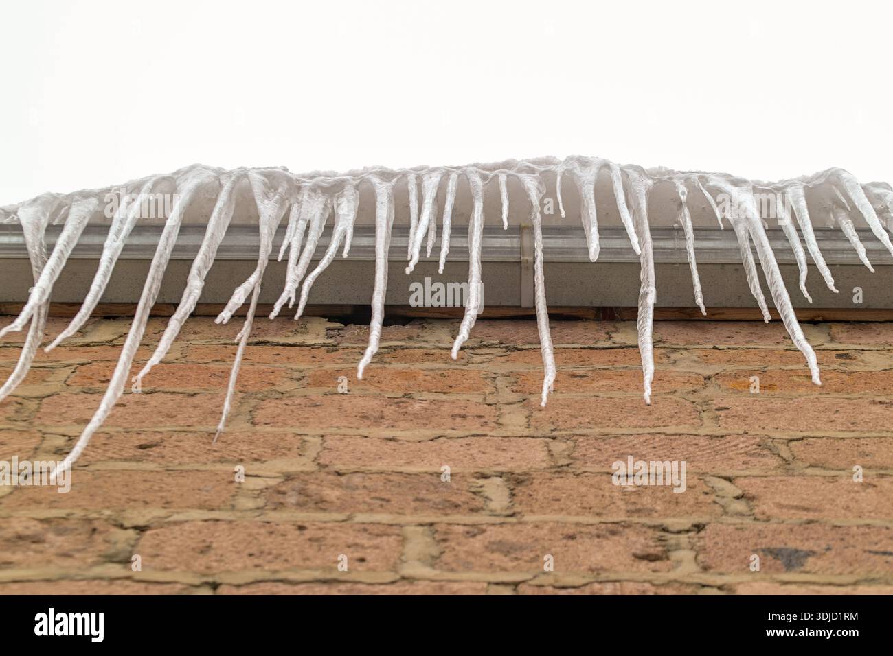 Un muro di mattoni ricoperto di ghiaccio. I ghiaccioli sono lunghi e sottili, e pendono dal tetto. La scena è fredda e invernale, con l'aggiunta dei ghiaccioli Foto Stock