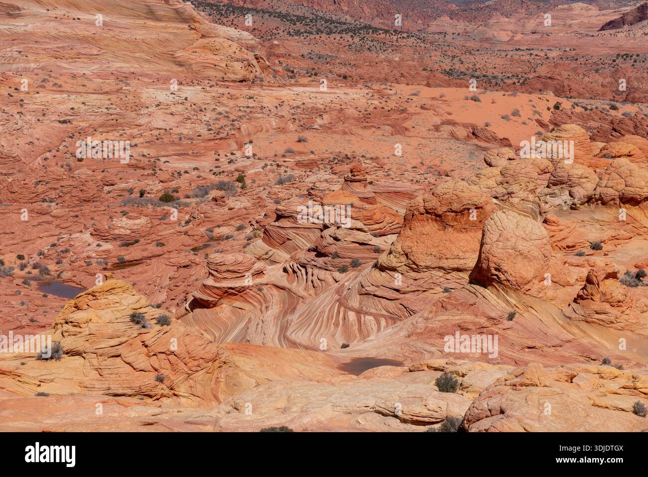 Un'ampia immagine delle iconiche formazioni di arenaria dell'onda in Arizona, che mostrano i motivi vorticosi e i colori vivaci della roccia. L'immagine capt Foto Stock