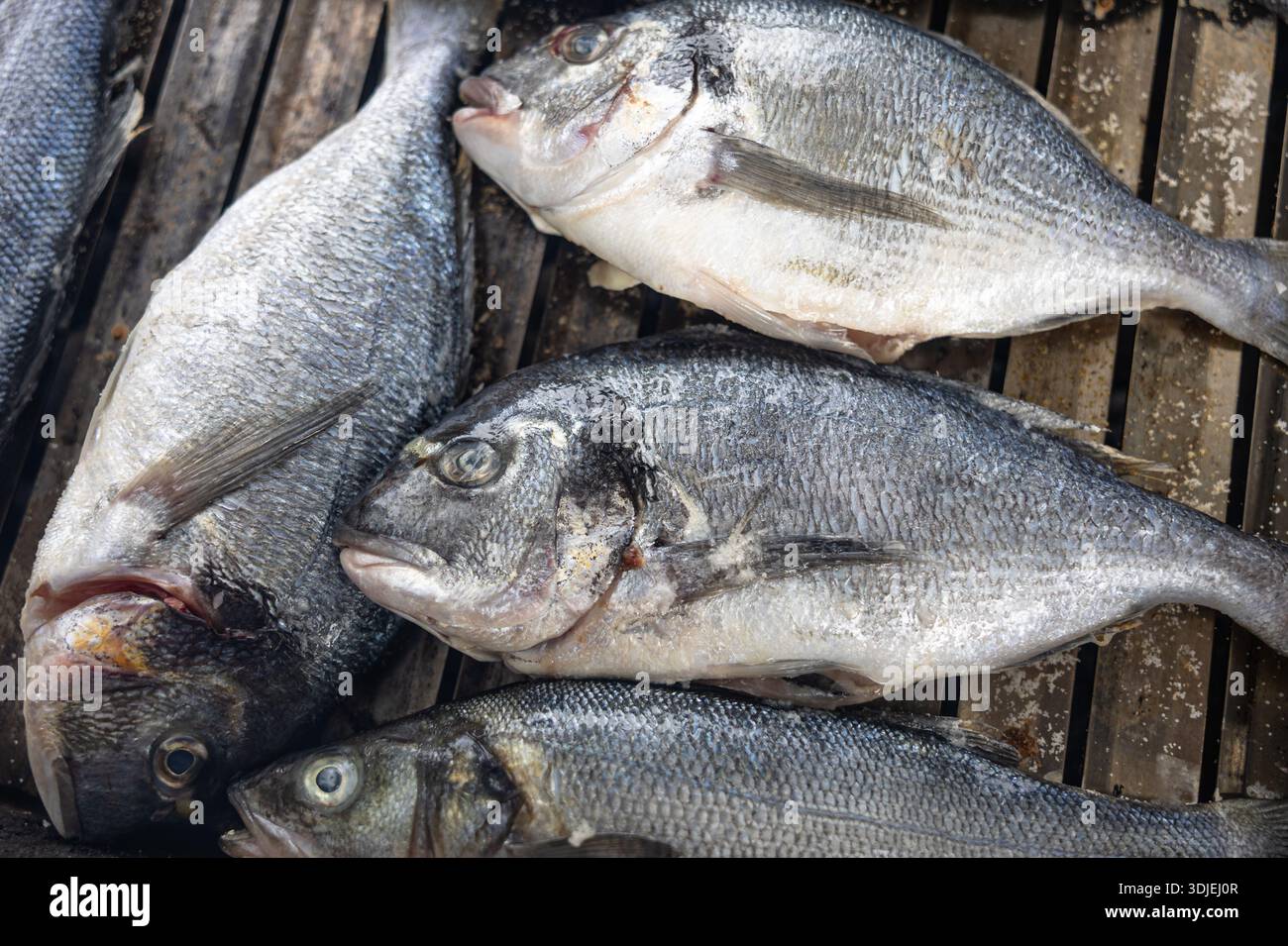 Una fila di pesce intero grigliato su un barbecue, con pelle croccante e segni di ciccioli. Scena di cucina all'aperto con un fascino rustico e saporito, adatto a se stesso Foto Stock