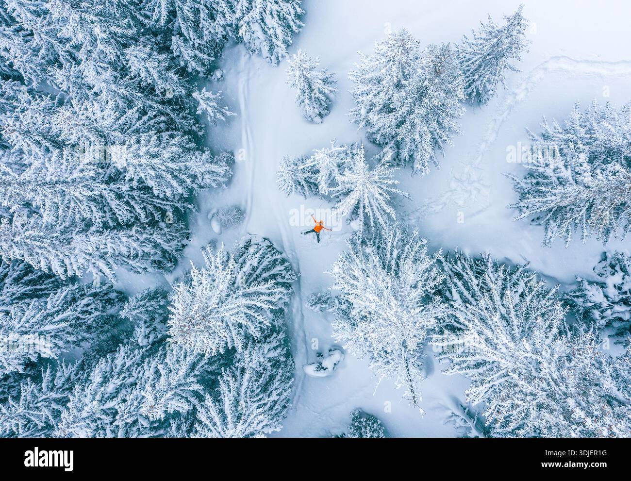 Vista dall'alto della persona che crea l'angelo della neve nel mezzo della foresta di pini ghiacciati. Escursionista in giacca arancione adagiato a terra tra abeti innevati. Inverno Foto Stock