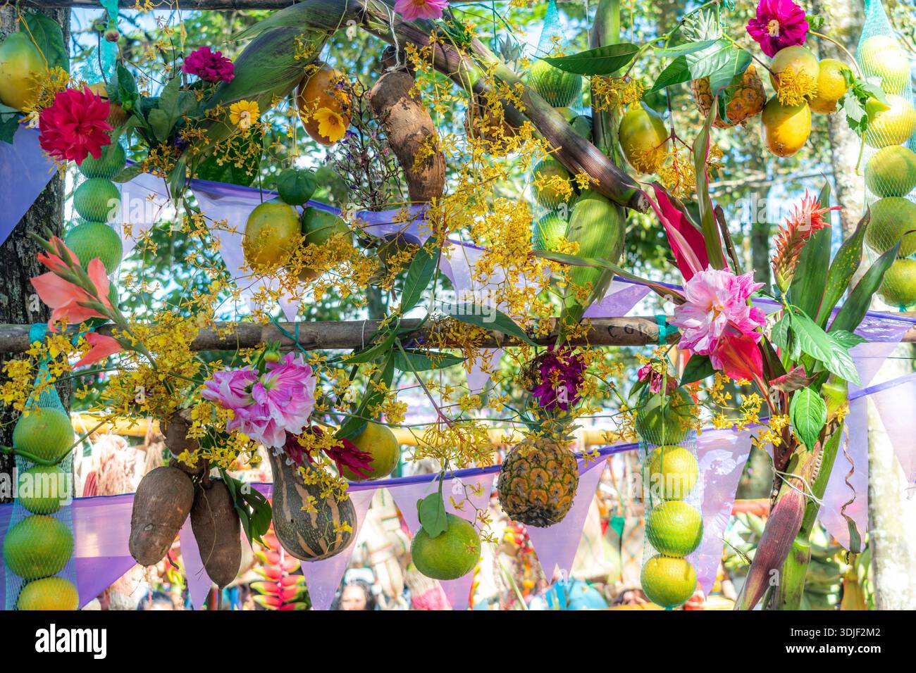 Frutta fresca tropicale, fiori e rastrellatori che decorano un arco di festival all'aperto Foto Stock