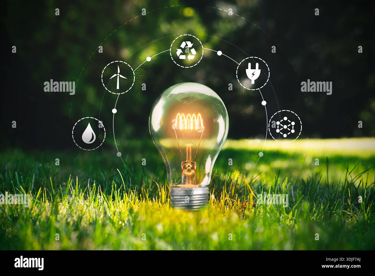 Tutela dell'ambiente, fonti energetiche rinnovabili e sostenibili. Concetto di lampadina Foto Stock