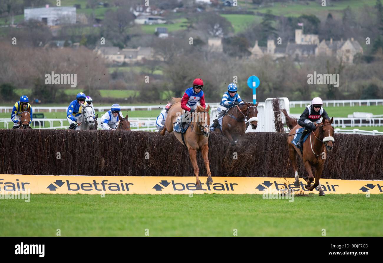 Quebecois e Scorcese sono ritratti all'ippodromo di Cheltenham, 24/01/26. Crediti JTW equine Images / Alamy. Foto Stock