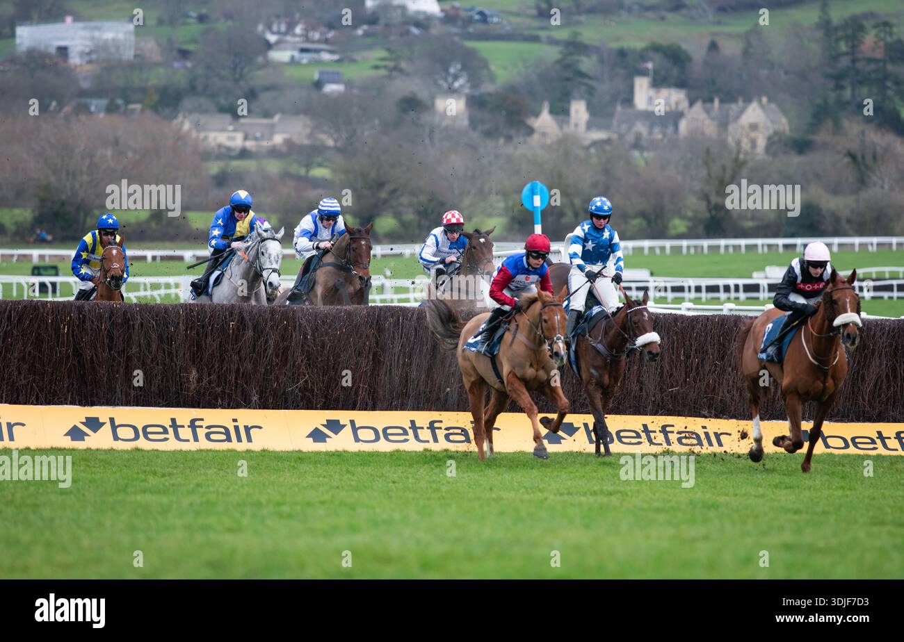 Quebecois e Scorcese sono ritratti all'ippodromo di Cheltenham, 24/01/26. Crediti JTW equine Images / Alamy. Foto Stock