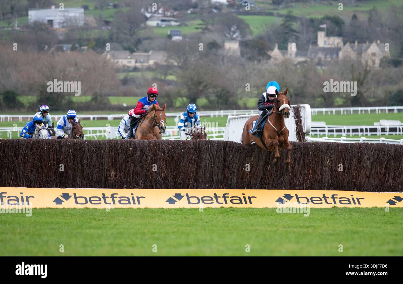 Quebecois e Scorcese sono ritratti all'ippodromo di Cheltenham, 24/01/26. Crediti JTW equine Images / Alamy. Foto Stock