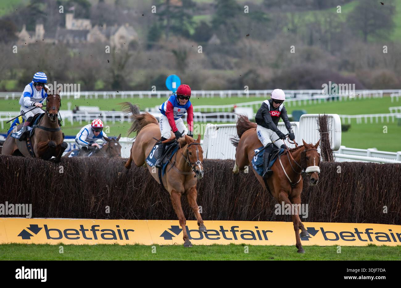 Quebecois e Scorcese sono ritratti all'ippodromo di Cheltenham, 24/01/26. Crediti JTW equine Images / Alamy. Foto Stock
