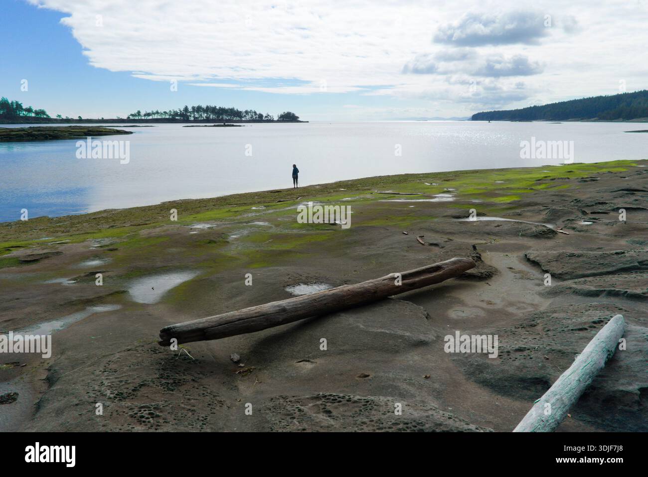 Drumbeg Parco Provinciale, Gabriola Island, British Columbia, Canada Foto Stock