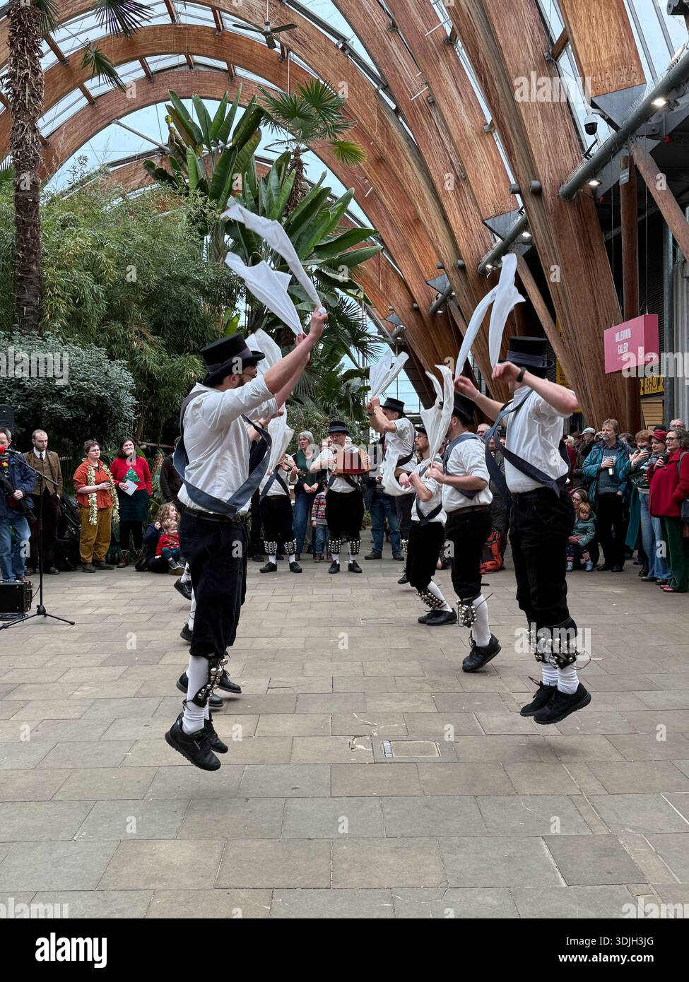 Morris Dancers si esibisce nei Winter Gardens, Sheffield, South Yorkshire, Inghilterra, Regno Unito. - Immagine stock catturata con smartphone