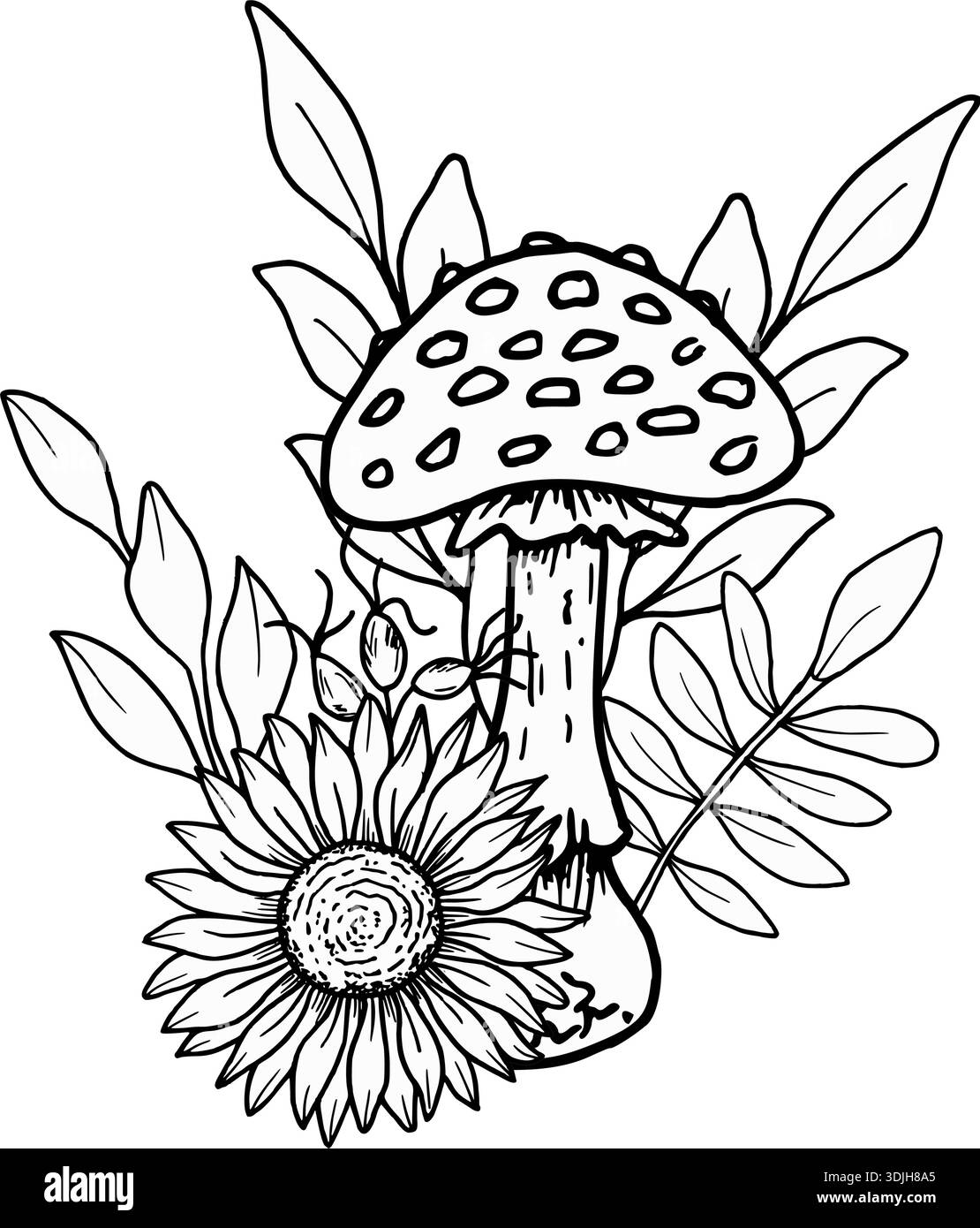 Composizione di funghi agarici mosche con girasoli, rosone e foglie. Illustrazione vettoriale botanico. Disegnato a mano con inchiostro nero. Disegno del profilo di Illustrazione Vettoriale