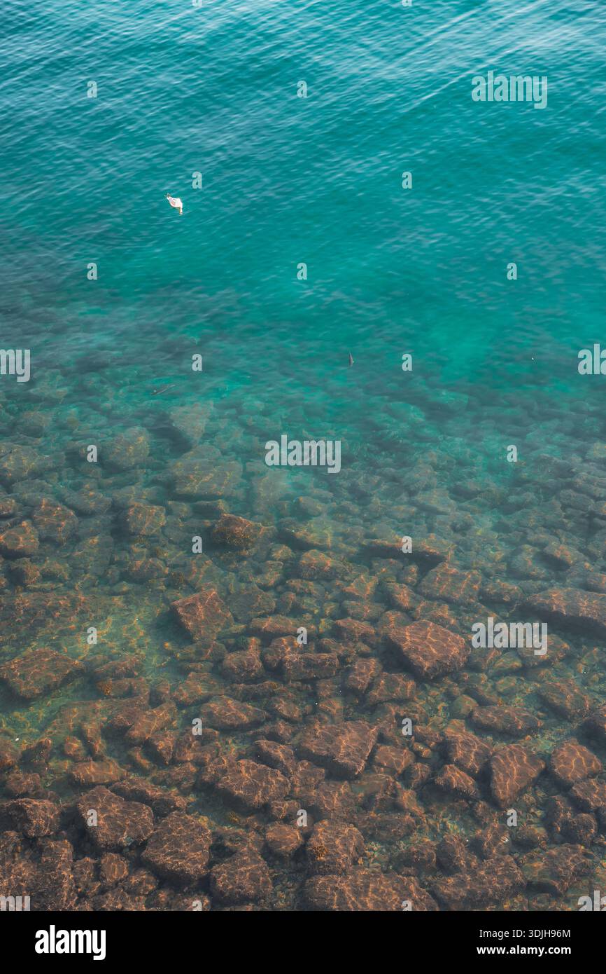 Vista delle acque turchesi che si spostano per rivelare un fondale roccioso, creando un affascinante contrasto di colore e consistenza a Grignano Miramare, Friuli-Ven Foto Stock