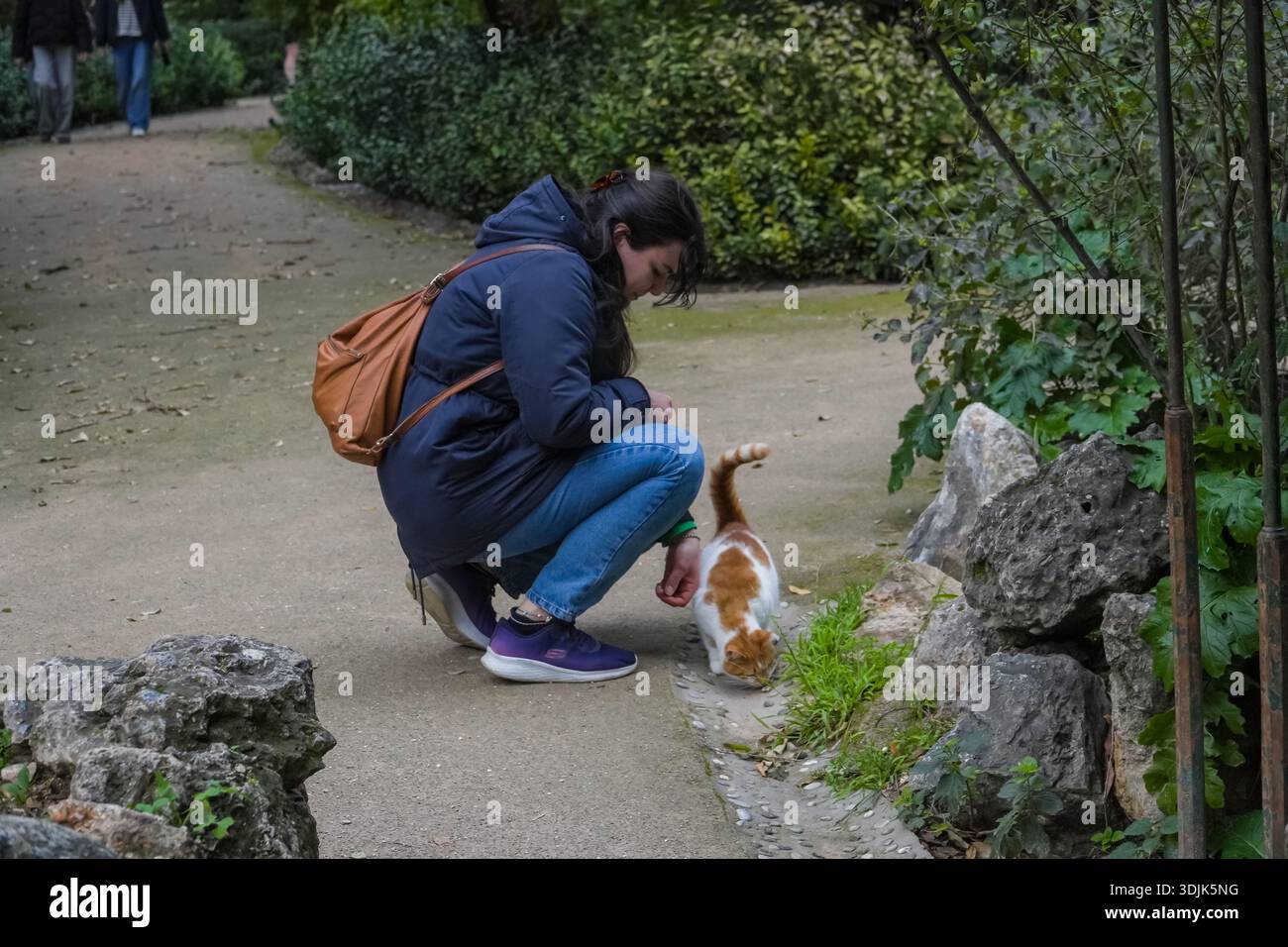 Giardino nazionale di Atene, Εθνικός Κήπος. Una donna con cappotto invernale nutre un gatto tabby bianco e arancione su un sentiero sterrato nello storico parco pubblico. Foto Stock