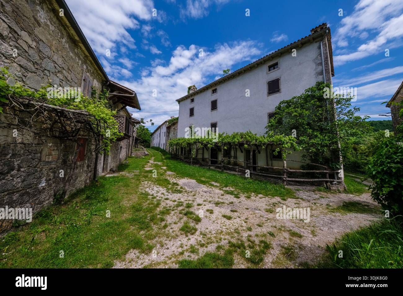 Tradizionali case in pietra con persiane in legno e trellises di vite lungo uno stretto sentiero sterrato nel villaggio di Kotli sotto un cielo blu. Foto Stock