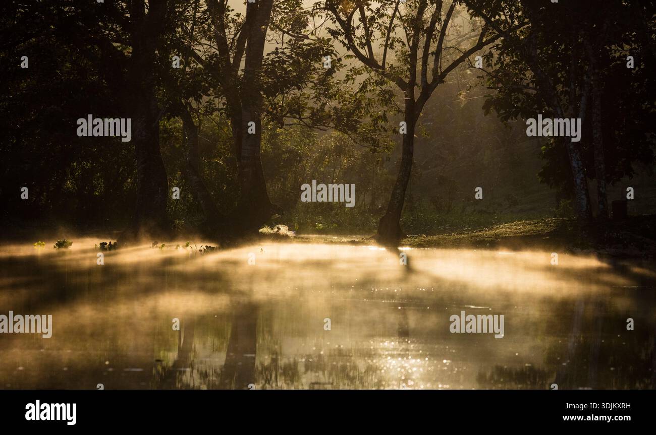 Luce del sole e nebbia al mattino presto sul Rio Chagres, parco nazionale di Soberania, Repubblica di Panama, America centrale. Foto Stock