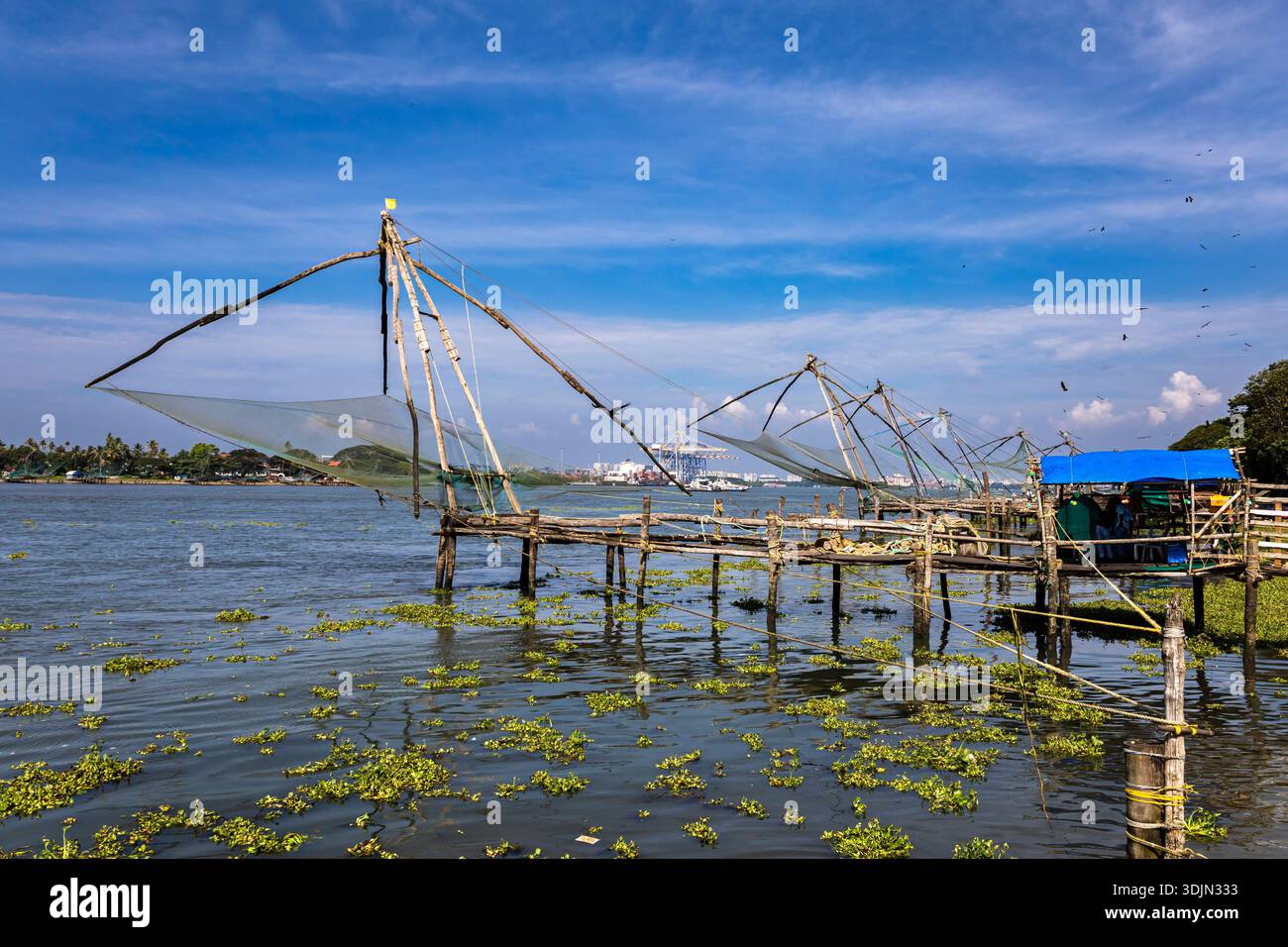 Reti da pesca cinesi tradizionali, Fort Kochi, Kochi (Cochin), Kerala, India, Asia meridionale, Asia Foto Stock