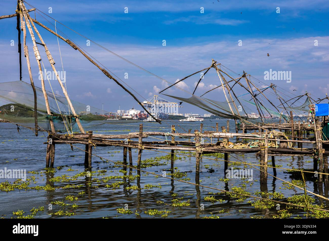 Reti da pesca cinesi tradizionali, Fort Kochi, Kochi (Cochin), Kerala, India, Asia meridionale, Asia Foto Stock