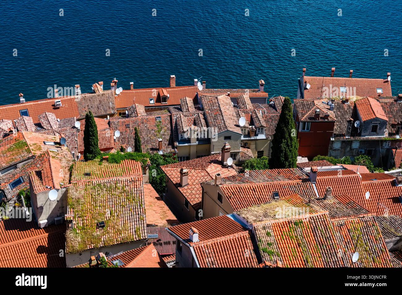 Vista dall'alto dal Campanile della Chiesa di Sant'Eufemia sui tetti di terracotta rossa delle case di Rovigno lungo la costa blu del mare Adriatico. Foto Stock
