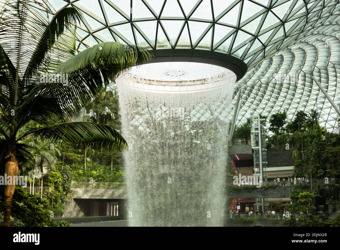 Singapore - 27 gennaio 2026: I visitatori esplorano l'aeroporto Jewel Changi mentre una grande cascata scende giù dal tetto, circondato dal verde e dal moder Foto Stock