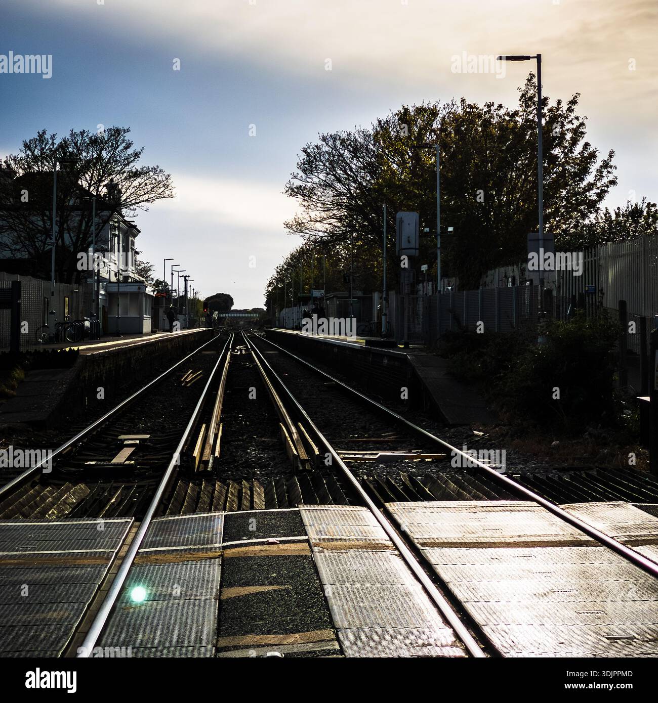 Binari ferroviari che conducono attraverso un passaggio a livello in una tranquilla stazione suburbana in Inghilterra al crepuscolo, con alberi sagomati e piattaforme che creano un forte - Immagine stock catturata con smartphone
